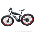 Aluminum alloy Rear 350w motor electric bicycle hub motor